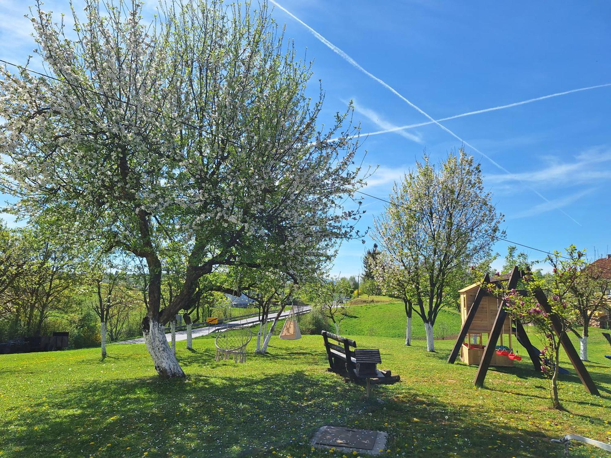 Guesthouse Miha Rakovica Bagian luar foto